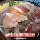 노량진 수산시장 숙성회 맛집 일성수산 포장으로 즐긴 모둠회 후기