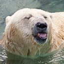 김프로PC 이미지