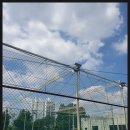 대경풋살클럽 이미지