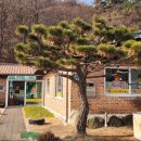 도개다곡묵고을 | 구미 원호맛집 원조도개다곡묵고을 묵밥/부추전 후기