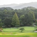 베네스트 이미지