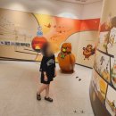 철새박물관 이미지