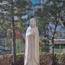 성가정약국 이미지