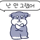 모모댕댕 이미지