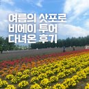 본투어 | 삿포로 여름 여행 추천 푸른 홋카이도 제대로 본 비에이 투어 후기