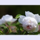 곡성-196 이미지