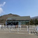 둔내목장 이미지