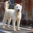 건영축산 - 계양구 병방시장로61번길 1 | 건영축산