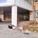 서울우솔초등학교 이미지
