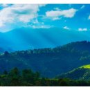 고요 이웃 이미지