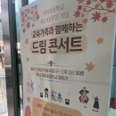 매화초등학교 | [현악4중주 연주] 경북 울진 매화초등학교 개교100주년 기념 &lt;교육가족과 함께하는 드림콘서트&gt; 현...