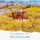 ***산수유마을-견두산(775m)-매화마을***25년3월22일(토)07시30분(시청)-07시40분(운동장1문 이미지