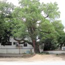 고암초등학교 이미지