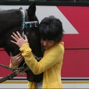 시은목장 이미지