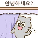 아이체스 이미지