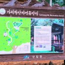 25. 정선 가리왕산 자연휴양림 야영장 캠핑 후기