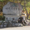 태백탄광촌 Daum카페