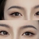비바이송 | 눈썹에 미친자의 첫 눈썹문신 후기(비바이송 잠실 헤어스트록 내돈내산)