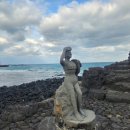 동복오일시장 이미지