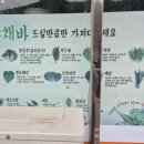 조원돼지갈비찜 이미지