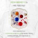 자연과식물원예연구소 이미지