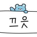 도그하우스 애견미용실 이미지