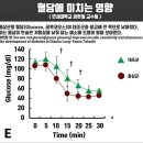 당뇨에 좋은 음식 드디어 발견! 이미지