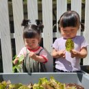 거제유치원 이미지