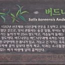 진옥 이미지