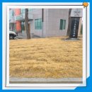 성주보건지소 이미지