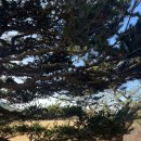 이쁘다 멍 | 남원 아담원 카페 후기｜정원 보며 멍 때리기 좋은 곳