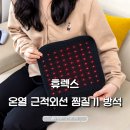 휴렉스 | 휴렉스 온열 근적외선 찜질기 방석 후기