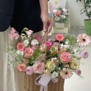 플로시아 이미지