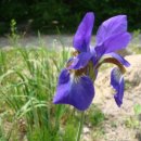 동천민박 이미지