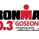 2022 아이언맨 70.3 고성 이미지