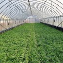 양동회관 이미지