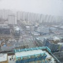 참(charm)행정사 사무소 이미지