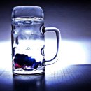 마리아어린이집 이미지