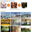 부일식품 - 부안군 | 부일식품
