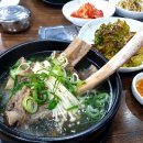 남도숯불생고기 Daum카페