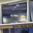 성북10 | VIP 동물의료센터 성북점, 10살 강아지 노령견 건강검진 후기