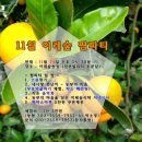 이레농장2 이미지