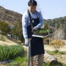 포항농약종묘사 이미지