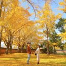 경섭목장 이미지