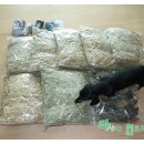 청아농장 이미지