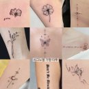 시그노엘 네이버블로그