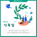 식목일의 유래와 봄꽃 이미지