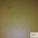 베베토피아 이미지