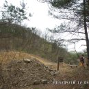 3450온누리 산악회 4월 정기산행 - 군위 조림산 : 새는 없고 진달래가 숲을 이루다 이미지