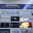 [범계역술집] 행복한집 안주 양 미쳤던 범계회식 맛집, 술 마시다 빙수까지 먹고 온 후기
